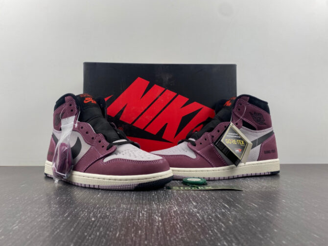 Jordan 1 High Element Gore-Tex Berry DB2889-500 - Image 4