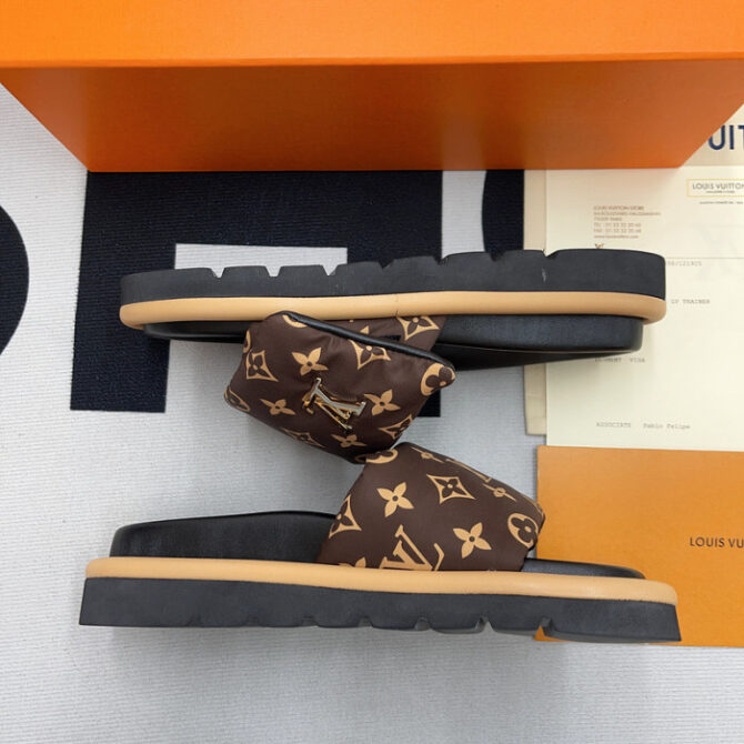 Lv Slides - Image 3