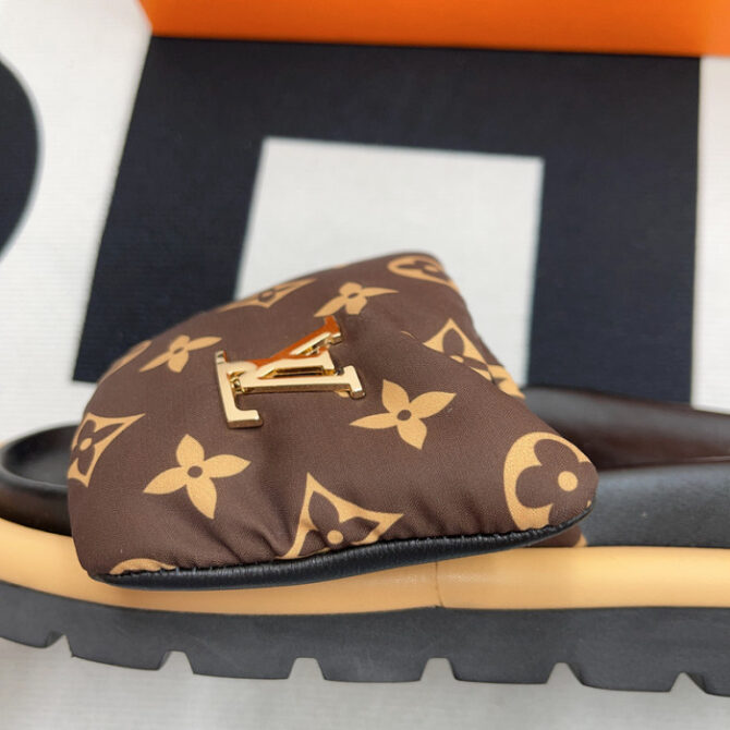 Lv Slides - Image 4