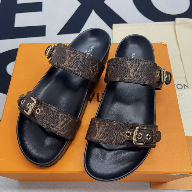 Lv Slides - Image 3