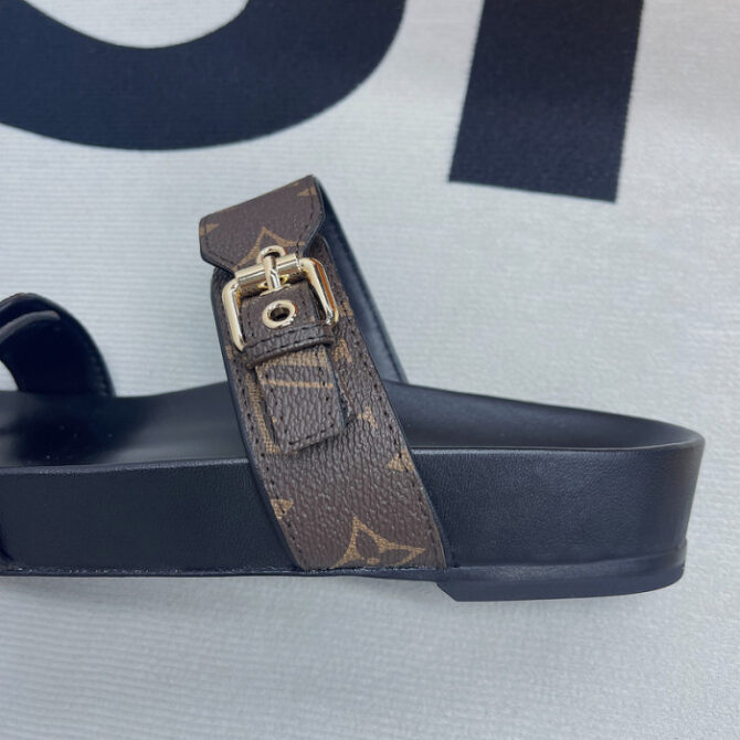 Lv Slides - Image 5