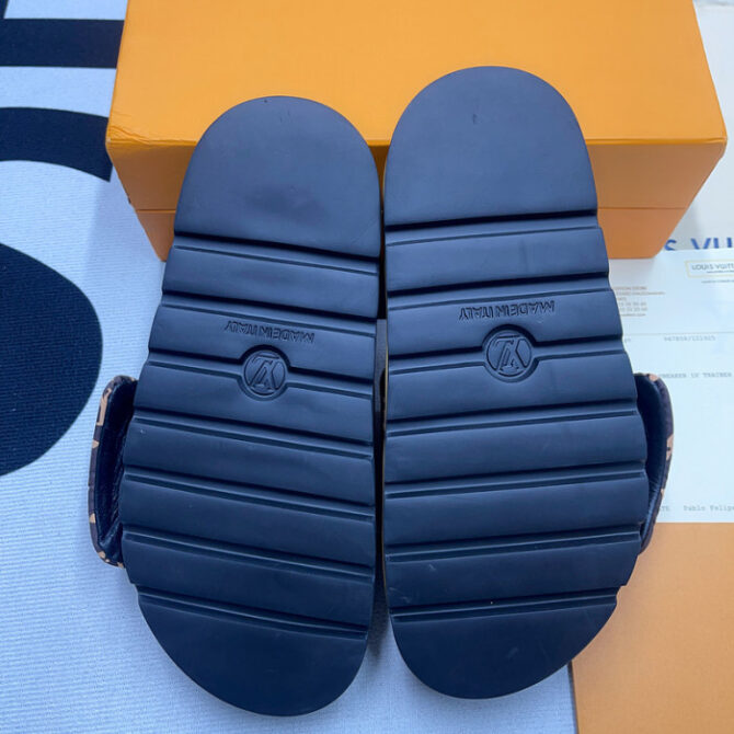 Lv Slides - Image 8