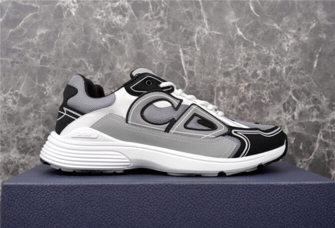 Dior B30 SNEAKER