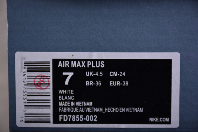 Nike Air Max Plus A-COLD-WALL Platinum Tint - Image 7