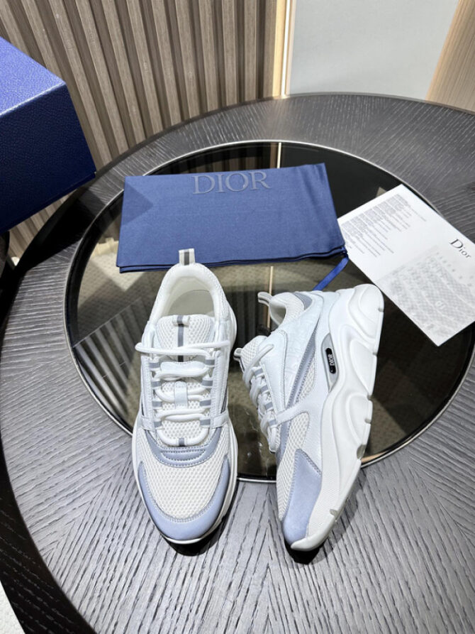 Dior B22 SNEAKER