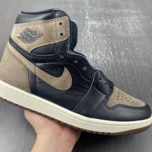 Jordan 1 Retro High OG Palomino DZ5485-020