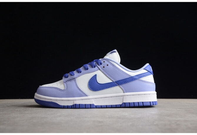 Nike Dunk Low Blueberry (GS) DZ4456-100