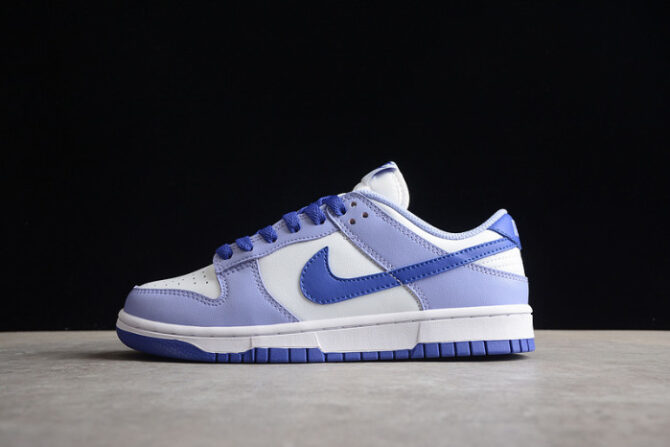 Nike Dunk Low Blueberry (GS) DZ4456-100 - Image 5