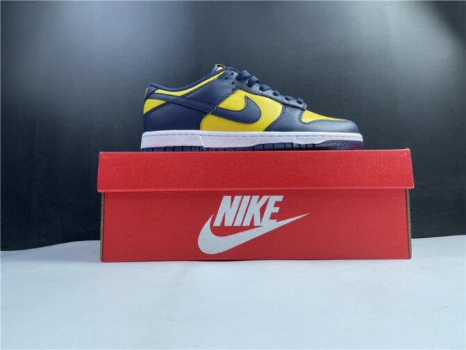 Nike Dunk Low Michigan DD1391-700 - Image 8