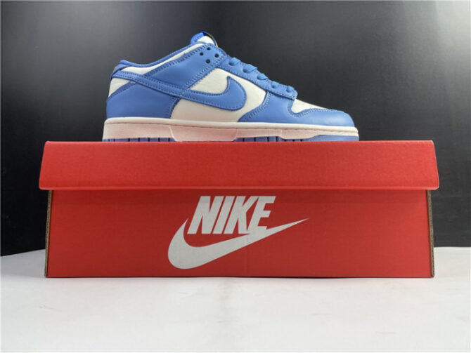 Nike Dunk Low Coast (W) DD1503-100 - Image 6