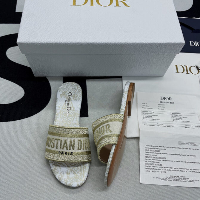 DIOR Dway Slide