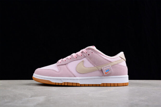 Nike Dunk Low Teddy Bear DZ5318-640